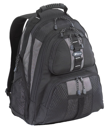 15.4" Sport Standard Backpack (Black/Platinum)