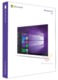 Microsoft Windows 10