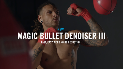 Magic Bullet Renoiser (Electronic Software Download)