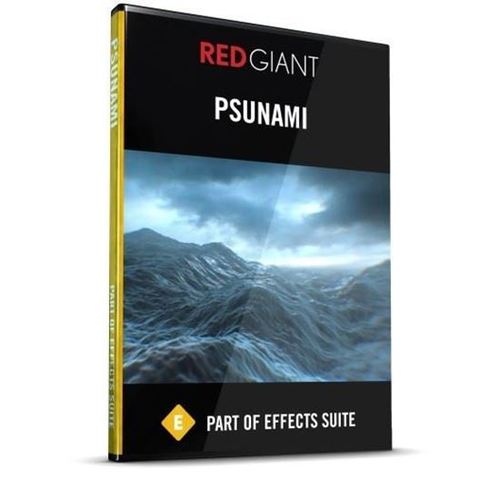 Psunami (Electronic Software Download)