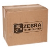 4PK LABEL POLYESTER 4X1IN TT
