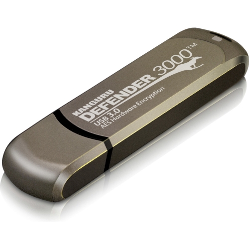 4GB DEFENDER 3000 FLASH DRIVE