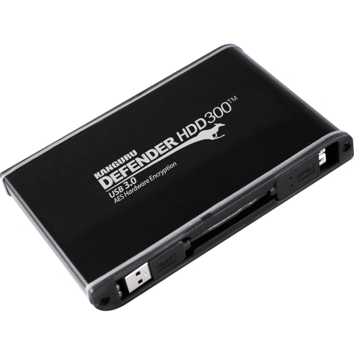 1TB DEFENDER SSD 300 ENCRYPTED