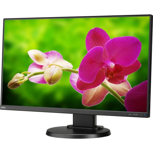 23.8IN LCD MULTISYNC E241N-BK