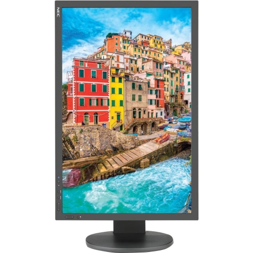 24IN WS LCD 1920X1200 PA243W-BK