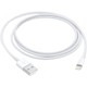 Lightning to USB Cable (1 m)