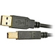 Tripp Lite 3ft USB 2.0 Hi-Speed Cable A Male to USB Type-C USB-C Male 