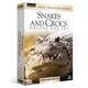 Travel - Adventure - Nature - Snakes and Crocs 