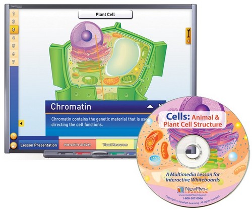 Cells Multimedia Lesson (Site License)