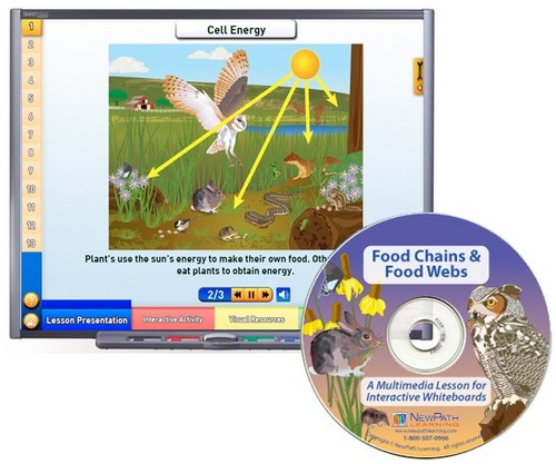 Food Chains Multimedia Lesson
