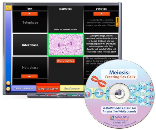 Meiosis Multimedia Lesson (Site License)