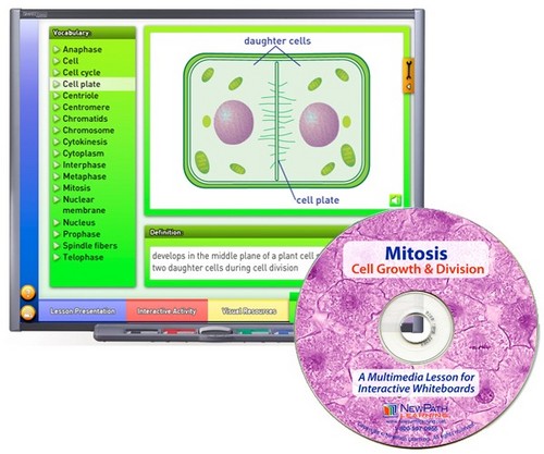 Mitosis Multimedia Lesson (Site License)
