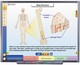 Systems of the Human Body I Multimedia Lesson (Single User)  (Mac / Win)