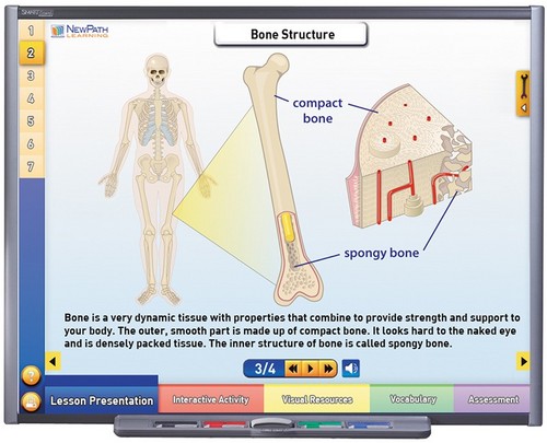 Systems of the Human Body I Multimedia Lesson (Single User)