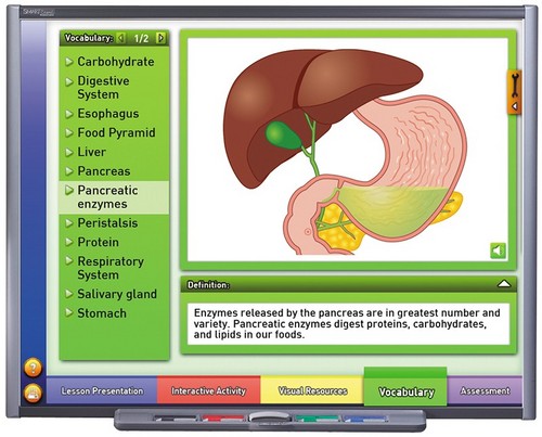 Systems of the Human Body II Multimedia Lesson (Single User)