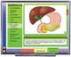 Systems of the Human Body II Multimedia Lesson (Site License)  (Mac / Win)