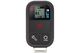GoPro Smart Remote 