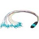 0.3M MPO TO 12XLC M/M OM3 FIBER 