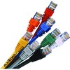 50FT CAT5E BLUE MOLDED BOOT