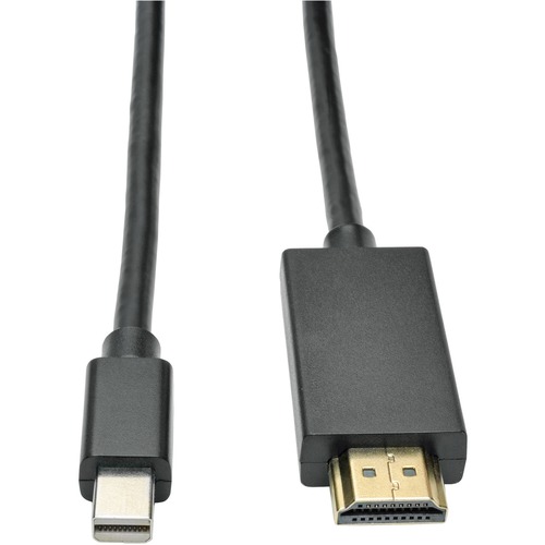 6FT MINI DPORT TO HD ADAPTER