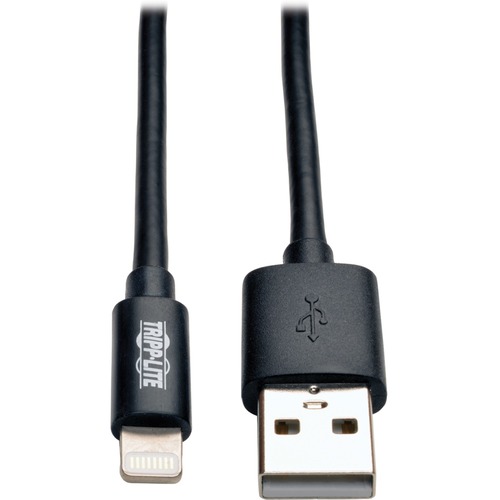 10FT LIGHTNING CHARGING CABLE