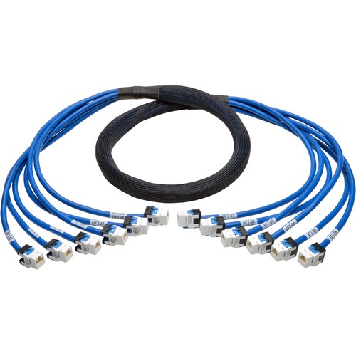 6FT CAT6 CAT6A TRUNK BUNDLE X6