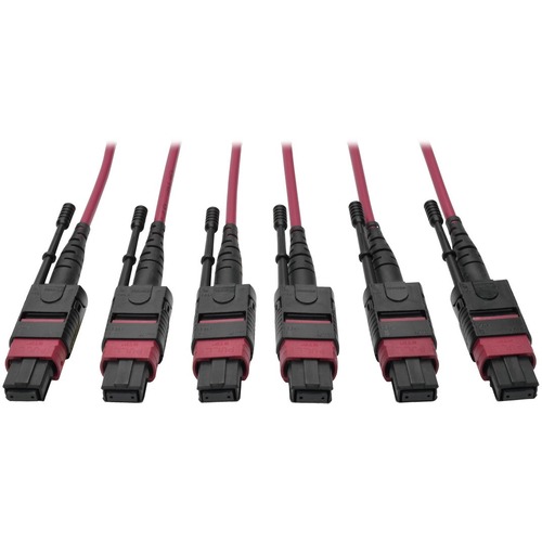 23M 24-FIBER MMF TRUNK CABLE