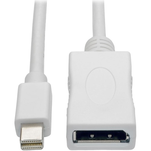 120IN MDP TO DISPLAYPORT ADAPT
