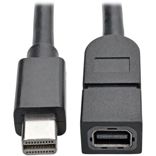 3FT MINI DISPLAYPORT EXTENSION