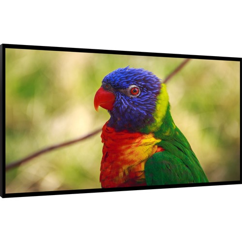 65IN HIGH BRIGHT LCD 800NIT