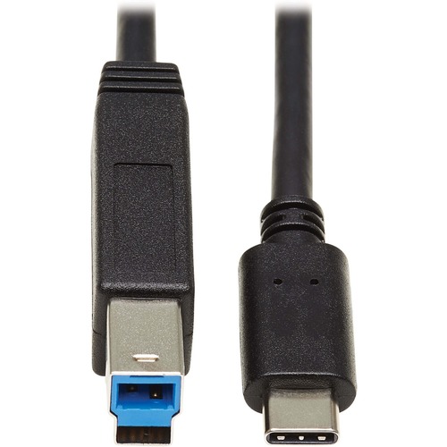 20IN USB C TO USB TYPE B CABLE