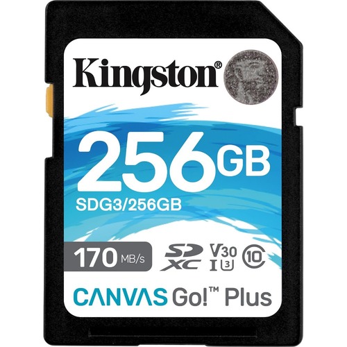 256GB SDXC CANVAS GO PLUS 170R