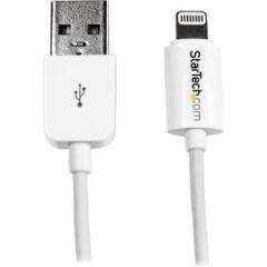 3m (10ft) Long White Apple 8-pin Lightning Connector to USB Cable for iPhone / iPod / iPad