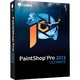 Corel PaintShop Pro