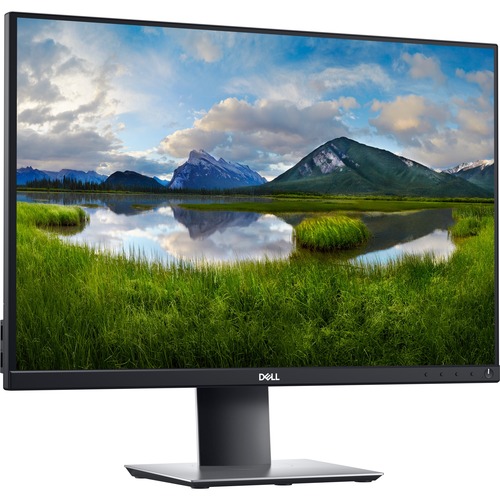 Dell P2421 24&quot; WUXGA WLED LCD Monitor - 16:10 - 24&quot; Class - In-plane Switching (IPS) Technology - 1920 x 1200 - 16.7 Million Colors - 300 Nit Typical - 5 ms GTG (Fast) - DVI - HDMI - VGA - DisplayPort - USB Hub