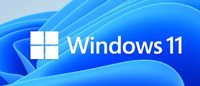 Windows 11 Pro - USB Flash Drive