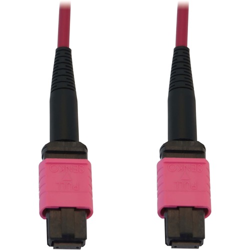 FIB 100G MMF 50 125 OM4 FF 10M