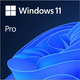 Microsoft Windows 11 Pro (Electronic Software Download)  (Win)