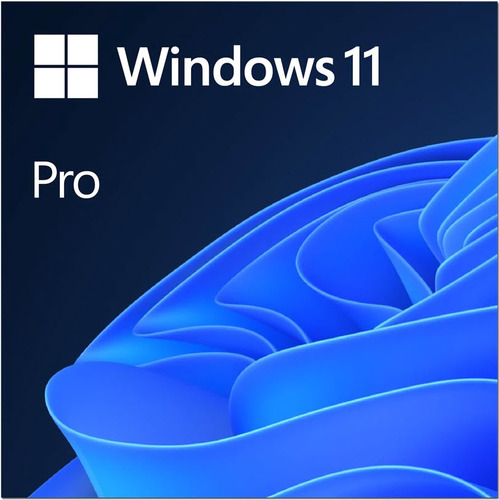 Microsoft Windows 11 Pro (Electronic Software Download)