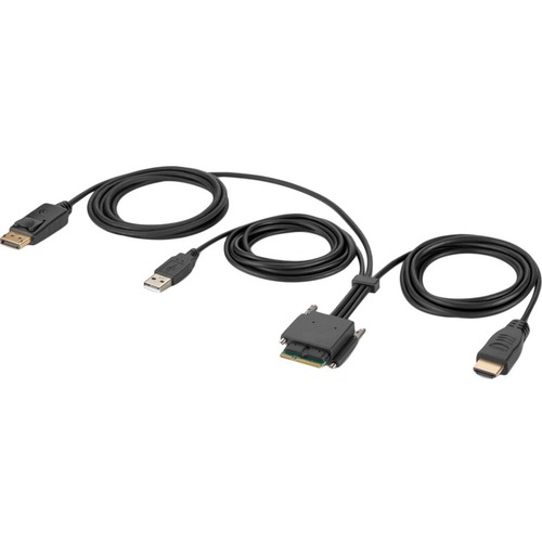 HDMI and DP Dual Head Host Cbl