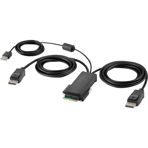 Modular DP Dual Head Host Cbl