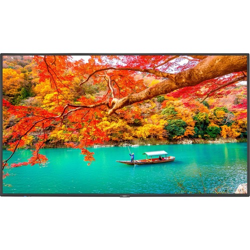 MULTISYNC 43IN DISPLAY W/