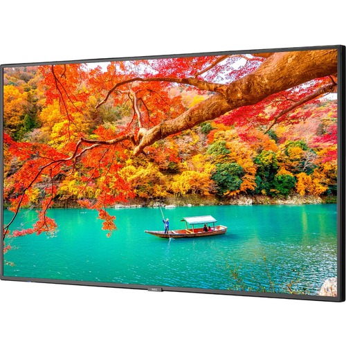 MULTISYNC 43IN DISPLAY W/ PC