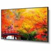 MULTISYNC 49IN DISPLAY W/