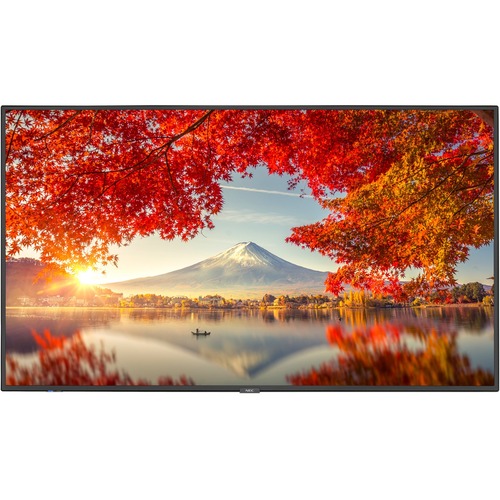 MULTISYNC 55IN DISPLAY W/