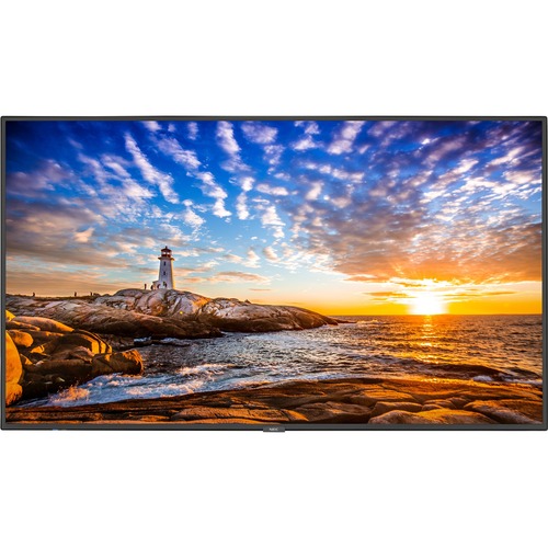 MULTISYNC 55IN DISPLAY W/