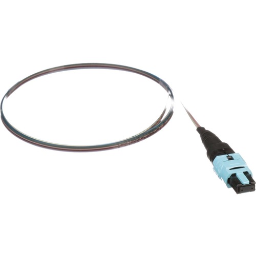 OM4 12F RIBBON ASSEMBLY PANMPO