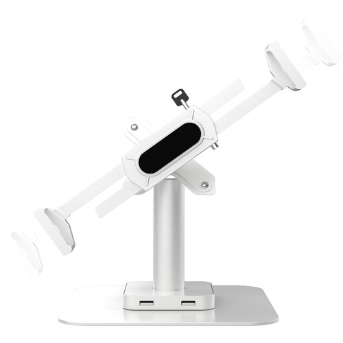 DESK MOUNT W/ INTEGRATED 2 PORT