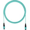OM3 12FIBER INTERCONNECT PLENUM