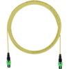 SM 12FB PL PMPO FEMALE